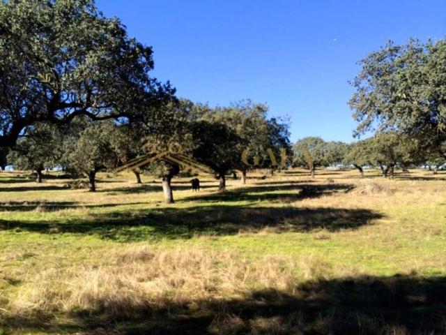 Exclusiva Casa rural en venta Cáceres, España