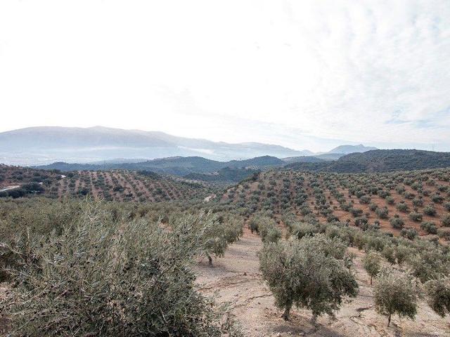 Exclusiva Casa rural en venta Loja, España