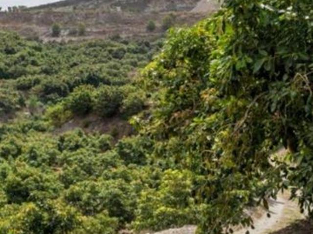 Exclusiva Casa rural en venta Motril, España