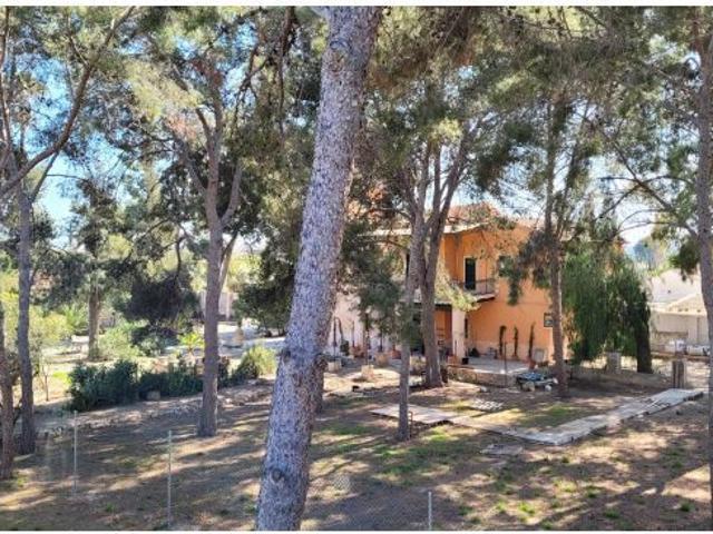 Exclusiva Casa Señorial en Ciudad Jardín, Alicante – Historia, Naturaleza y Confort a 10m del centrl
