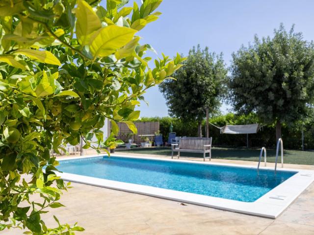 EXCLUSIVA! Chalet independiente. 3 dormitorios, 2 baños, piscina, pista de baloncesto /tenis y garaje en parcela de 21.000m2. Jerez de la Frontera