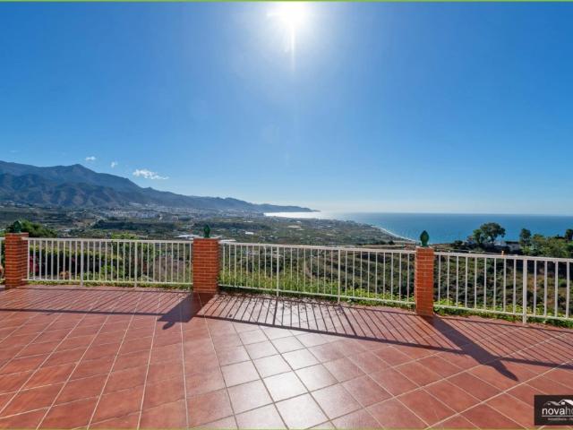 Exclusiva finca de aguacates con dos viviendas y espectaculares vistas al mar