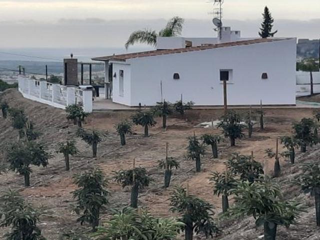 Exclusiva Finca de Aguacates en Matagallares con Espectaculares Vistas al Mar