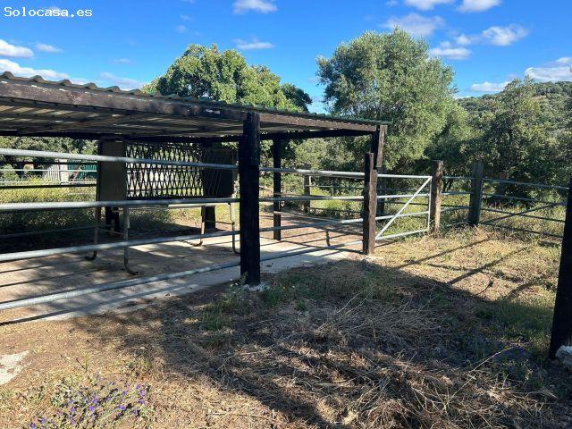 Exclusiva finca de recreo y explotación ecuestre en pleno Parque Natural de Los Alcornocales