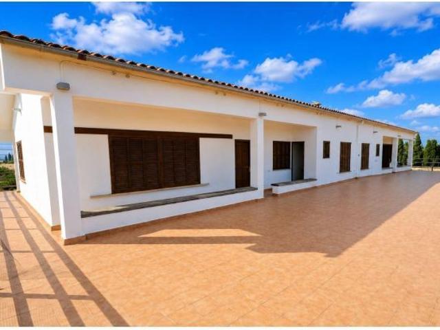 Exclusiva finca mallorquina a 1 km del centro de Inca