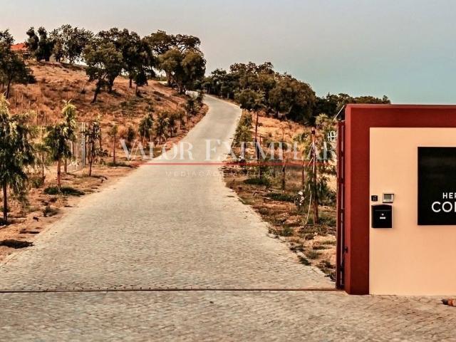 Exclusiva Herdade de Prestígio com 260 Hectares em Santarém | Produção Agropecuária, Turismo Rural e Ativo de Elevada Rentabilidade