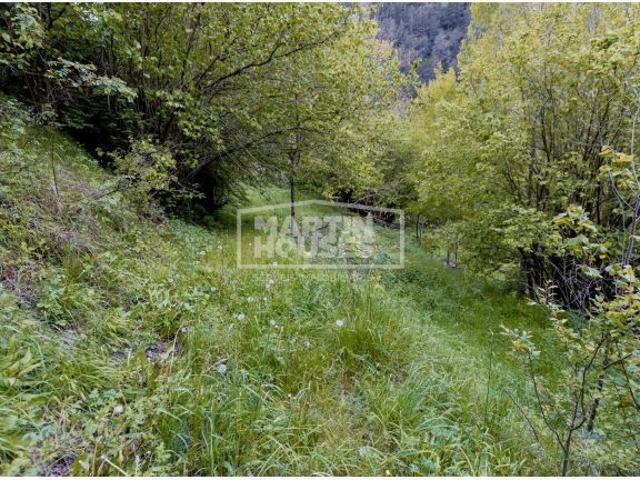 Exclusiva oportunidad de inversión: parcela de 2.150 m2 en Sornàs con potencial para 4 viviendas uni
