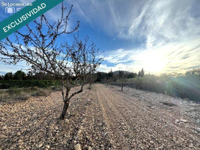 EXCLUSIVA OPORTUNIDAD – PARCELAS RÚSTICAS EN CASAS DE SANCHÍS MONOVAR