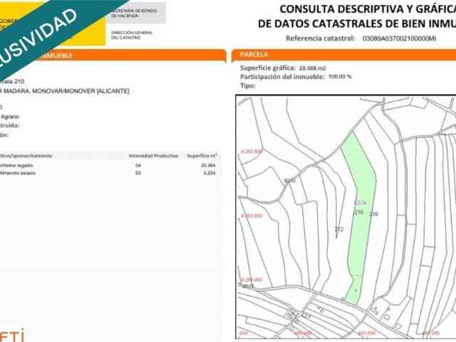 EXCLUSIVA OPORTUNIDAD – PARCELAS RÚSTICAS EN CASAS DE SANCHIS MONOVAR