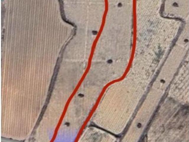 EXCLUSIVA OPORTUNIDAD – PARCELAS RÚSTICAS EN CASAS DE SANCHIS MONOVAR