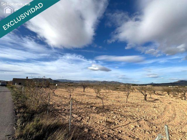 EXCLUSIVA OPORTUNIDAD – PARCELAS RÚSTICAS EN CASAS DE SANCHIS MONOVAR