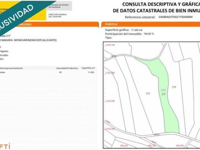 EXCLUSIVA OPORTUNIDAD – PARCELAS RÚSTICAS EN CASAS DE SANCHIS MONOVAR