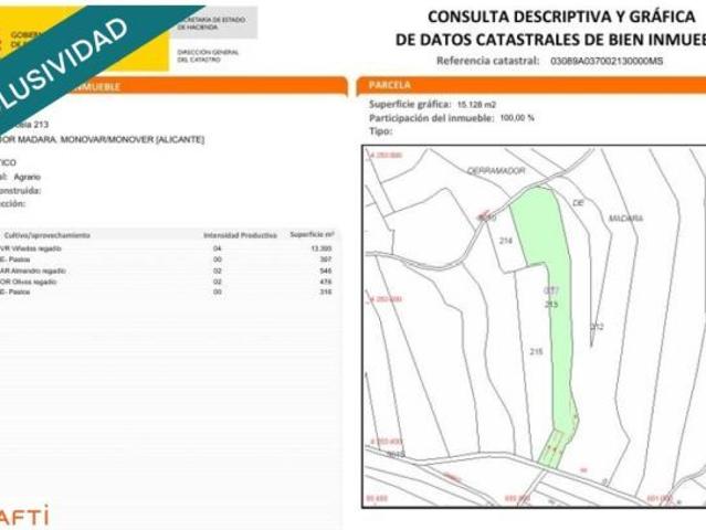 EXCLUSIVA OPORTUNIDAD – PARCELAS RÚSTICAS EN CASAS DE SANCHIS MONOVAR