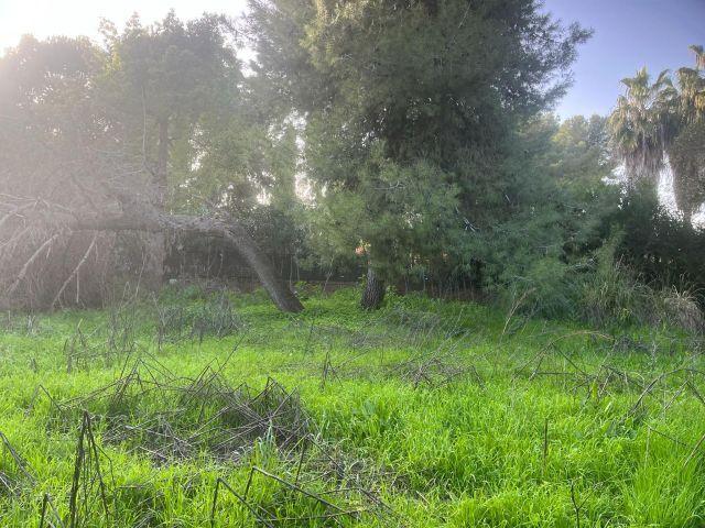 EXCLUSIVA PARCELA URBANA EN SANTA CLARA — OPORTUNIDAD ÚNICA PARA CONSTRUIR LA CASA DE SUS SUEÑOS EN