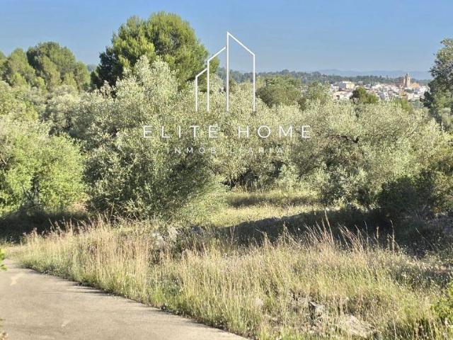 EXCLUSIVA PARCELA DE 17.000M2 EN SAN JORDI