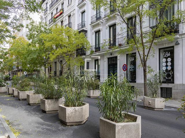 Exclusiva propiedad en venta en Rios Rosas, dentro del térm. 208m² Madrid