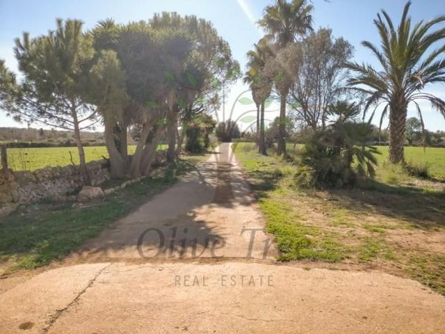 Exclusiva Villa / Chalet de 930 m2 en venta en Felanitx, España