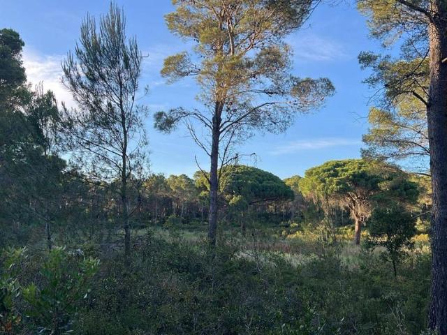 Exclusiva Villa / Chalet en venta l'Escala, España