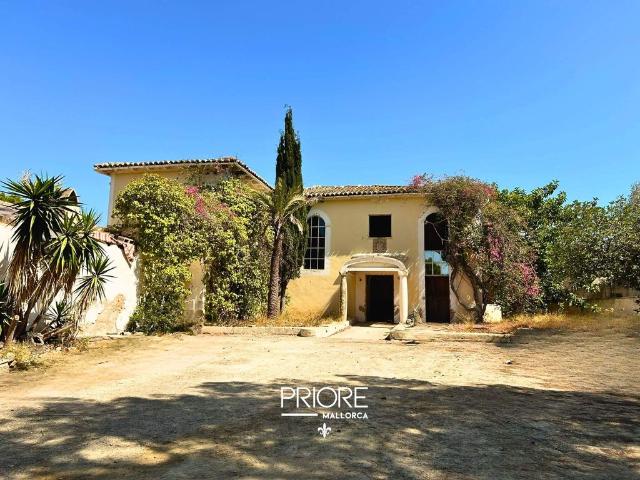 Exclusiva Villa / Chalet en venta Palma de Mallorca, España