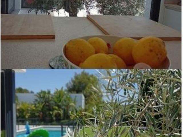 Exclusiva villa de diseño con piscina privada y casa de servicio en Bunyola