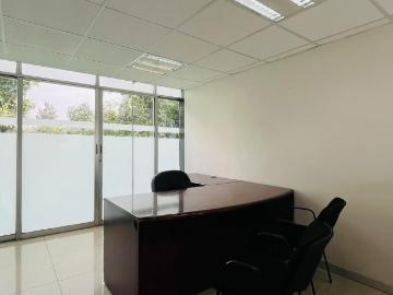 Exclusivas oficinas en del carmen coyoacan terraza privada 200m