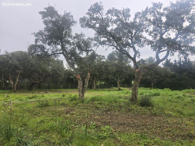 Exclusivas 4 parcelas urbanas en Sotogrande junto a Valderrama Golf | Inversión única