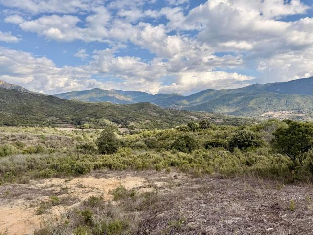 EXCLUSIVITÉ Vente terrain à bâtir à Tiuccia