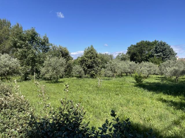 EXCLUSIVITE / à vendre / terrain constructible hors lotissement de plus de 700m²/ Orange quartier du Grès / 99500€