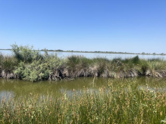 Exclusivité Aigues Mortes
