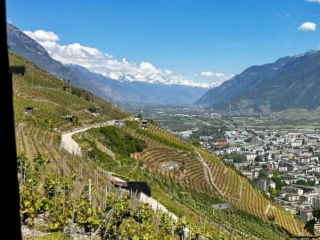 EXCLUSIVITÉ AUTHENTIQUE GUÉRITE AU COEUR DU VIGNOBLE VALAISAN
