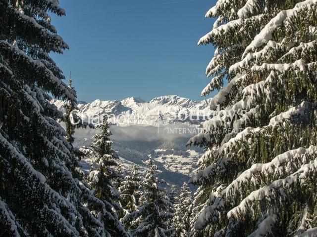 EXCLUSIVITÉ CHALET DIANE