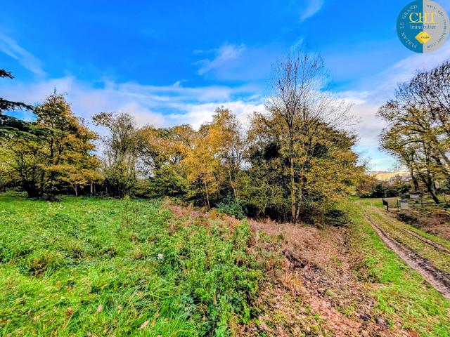 EXCLUSIVITÉ CHT IMMOBILIER: Terrain Boisé en Zone Naturelle à GUER BELLEVUE