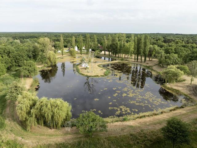 Exclusivité en Sologne superbe propriété de plus de 6 ha a. 380m² Romorantin Lanthenay
