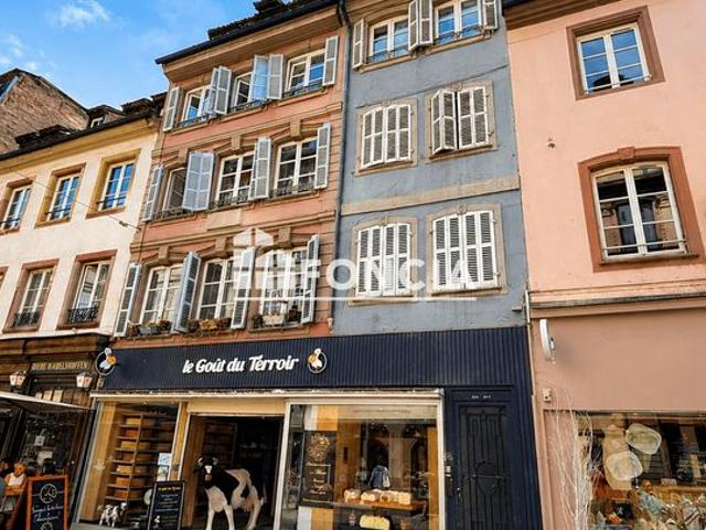 Exclusivite foncia tres beau deux pieces au coeur de la petite france