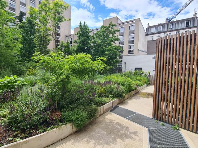 EXCLUSIVITÉ Idéal Investisseur Quartier Mairie