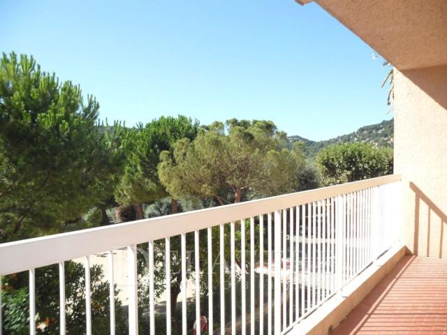 EXCLUSIVITE ! JOLI 2 PIECES BAR SUR LOUP