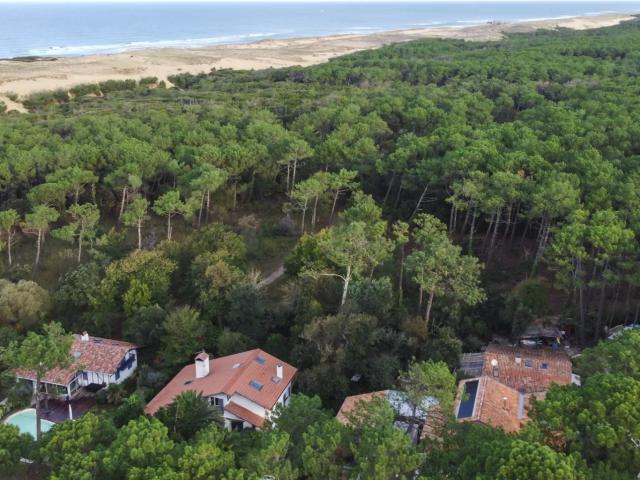 Exclusivité Nouveauté Maison landaise entre océan et for
