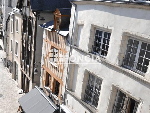 Exclusivite orleans proximite place du chatelet