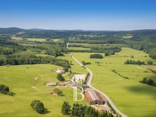 Exclusivité Saint Dié des Vosges Domaine équestre avec h. 548m² Hurbache