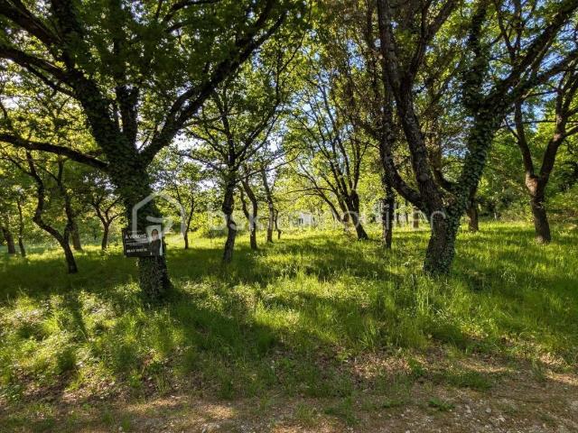 Terrain arboré de 1 200 m² – Environnement calme et préservé – Drôme provençale