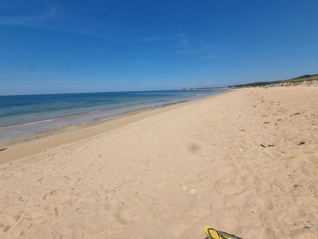 EXCLUSIVITÉ ST GEORGES D'OLERON 17 Très beau terrain constructible 3.060m² emplac N°1 à 300mt plage côte Ouest