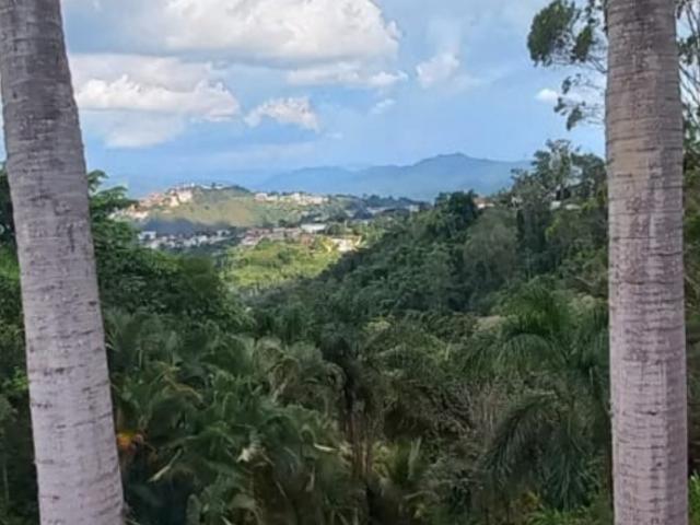 Exclusividad y Naturaleza: Casa Joya Impecable en La Lagunita