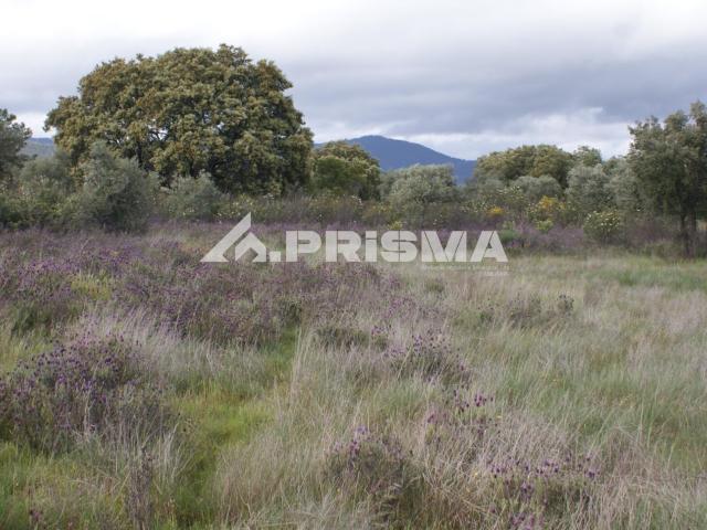 Execelente terreno para Venda em Monfortinho