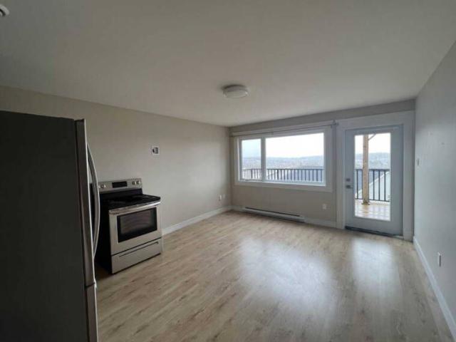 Executive 1 Bedroom Apt in newly constructed Sackville Home!
