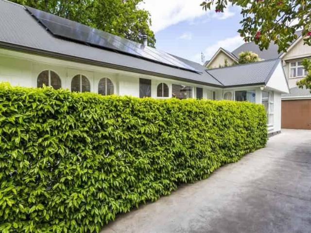 Executive home in great school zones!