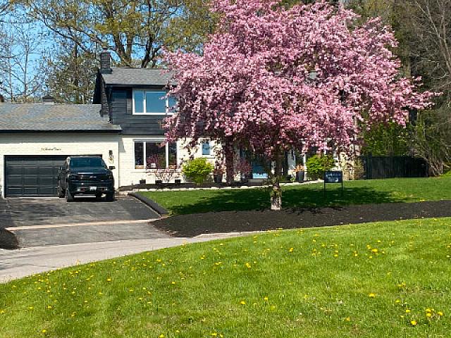 Executive, Renovated Old Sunnidale Home