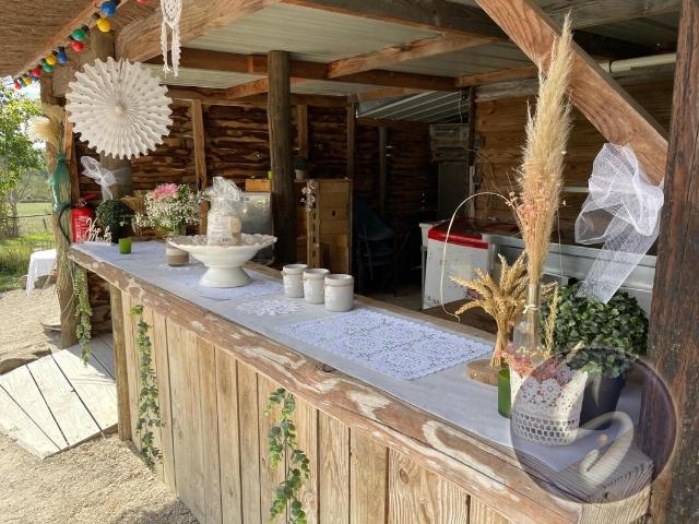 Exireuil Vente Maison 79