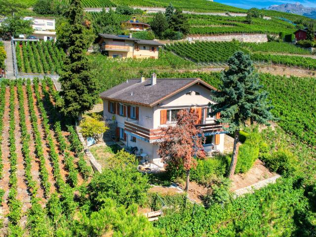 EXKLUSIV Charmantes Haus mit 2 Einheiten im Herzen der Weinberge von Sierre
