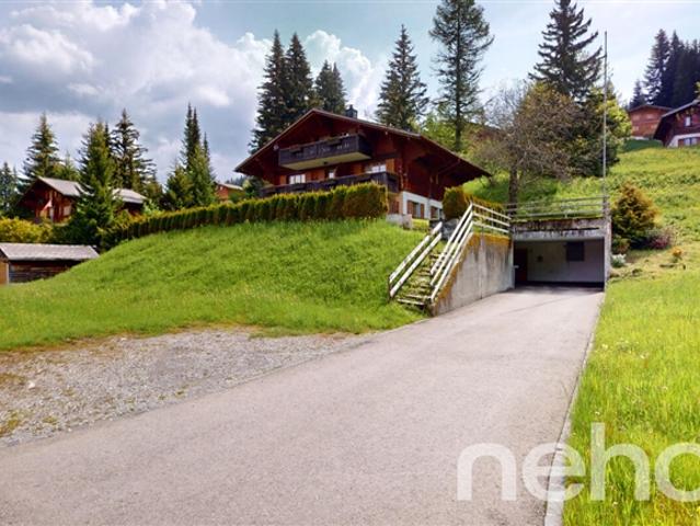 Exklusiv Großes Chalet mit 3 Einheiten