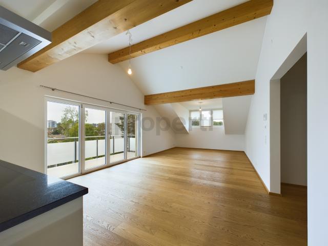 Exklusive 3.5 Zimmer Dachwohnung mit Luxusausstattung in Allschwil